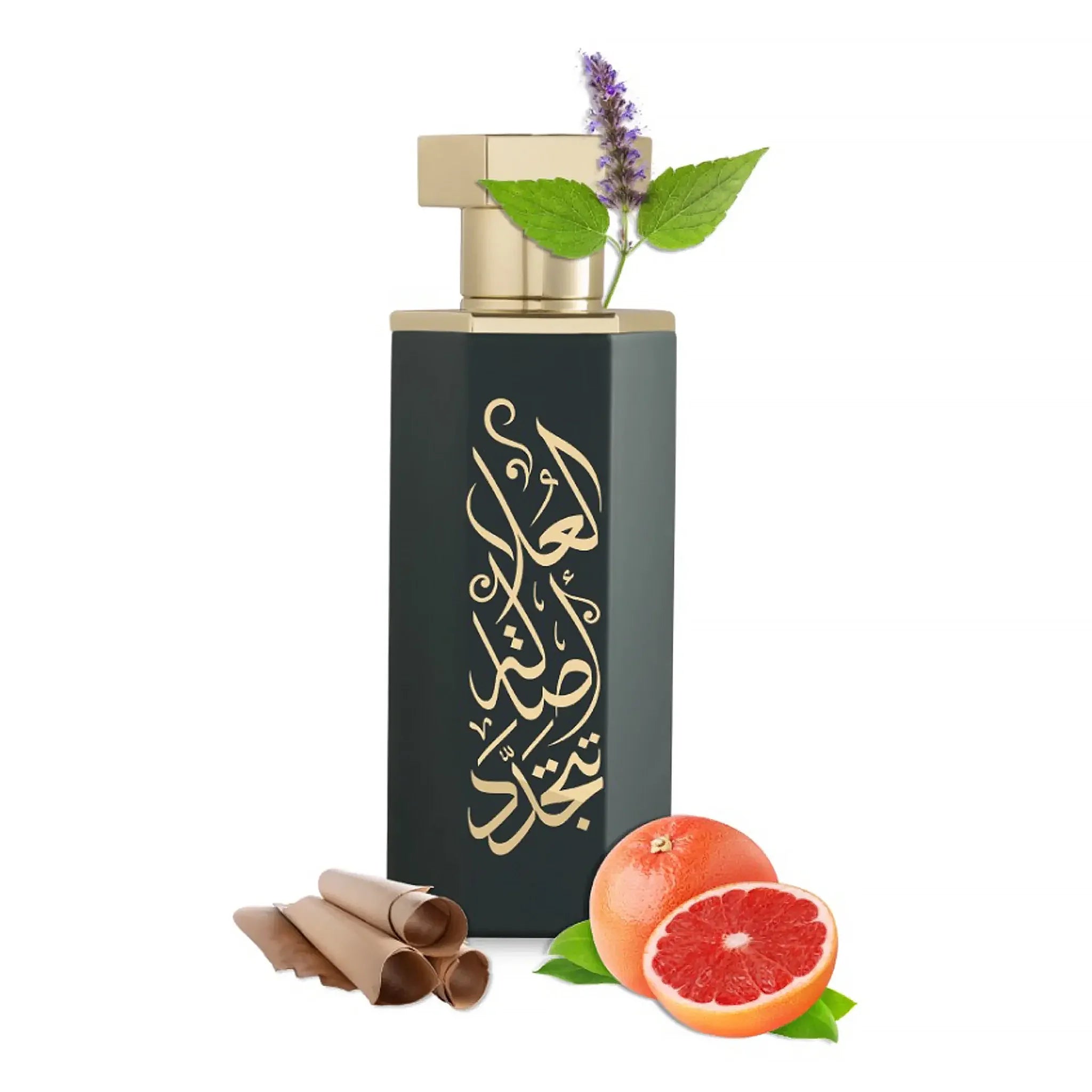 REEF PERFUME Arabs of Al Ula 100mL